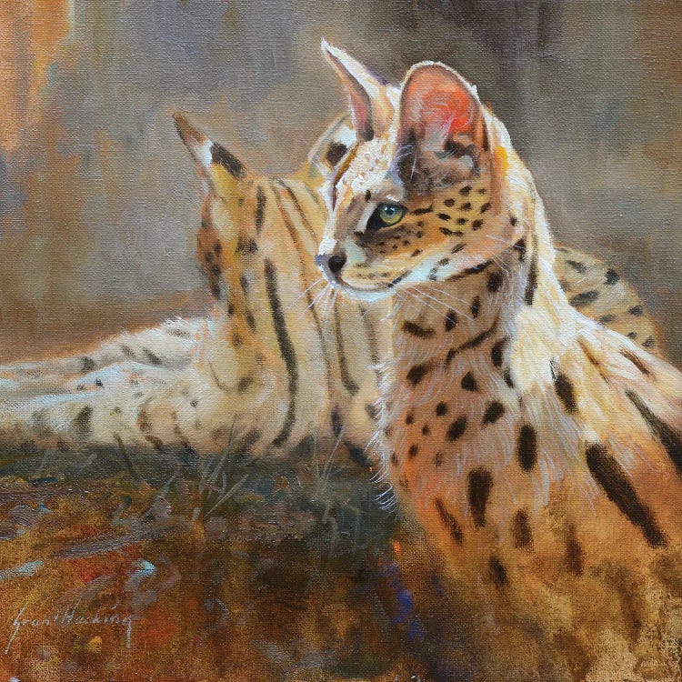 Serval by Grant Hacking wall art