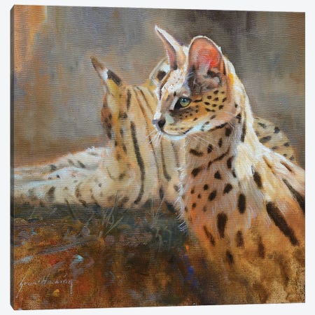 Serval Canvas Print #GHC89} by Grant Hacking Canvas Print
