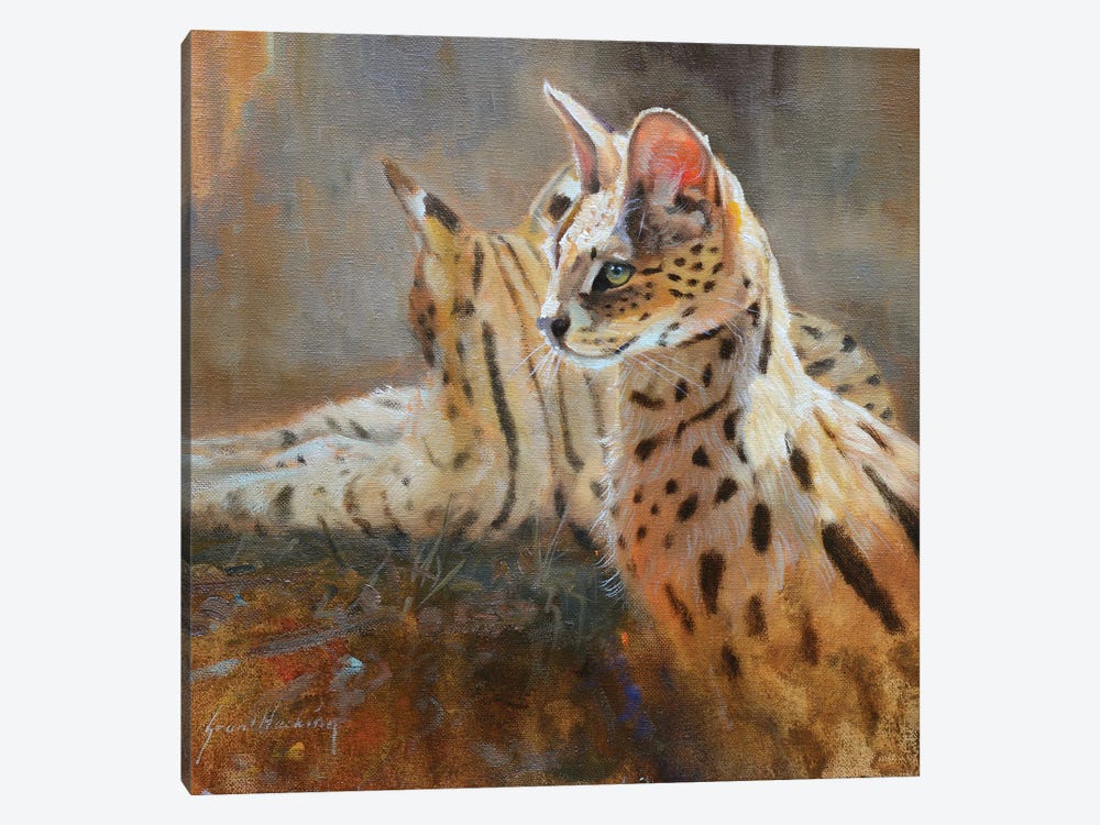 Serval by Grant Hacking 1-piece Canvas Art Print