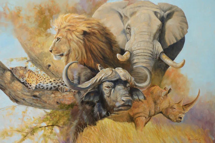 Africa's Five by Grant Hacking wall art