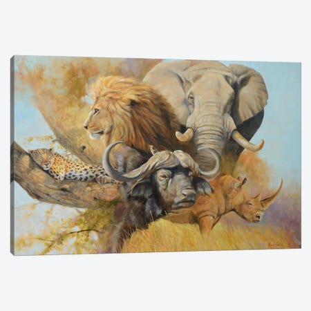 Africa's Five Canvas Print #GHC8} by Grant Hacking Canvas Art Print