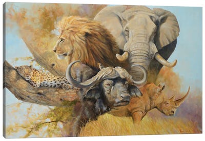 Africa's Five Canvas Art Print - Rhinoceros Art