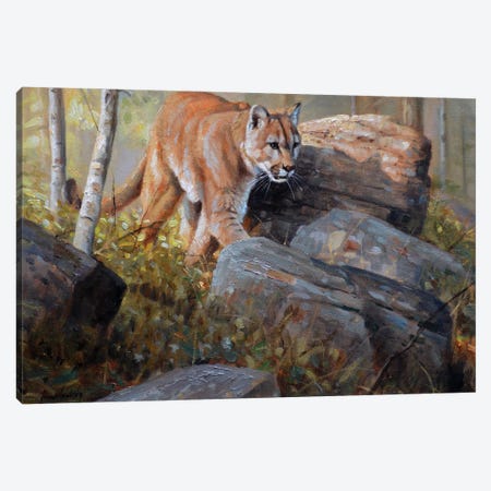 Shadow Cat Canvas Print #GHC90} by Grant Hacking Canvas Wall Art