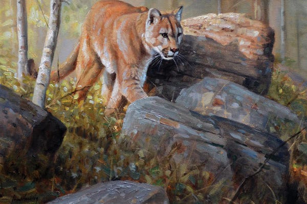 Grant Hacking: Shadow Cat by Grant Hacking