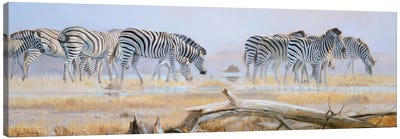 Shimmering Heat Canvas Art Print - Zebra Art