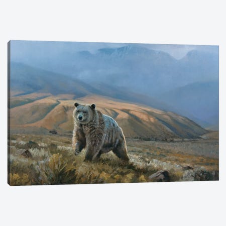 Silvertip Grizzly Canvas Print #GHC92} by Grant Hacking Canvas Artwork