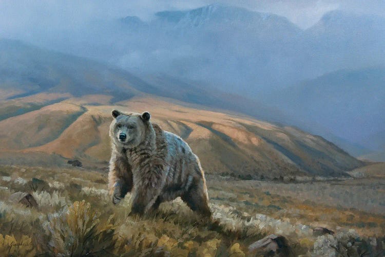 Silvertip Grizzly by Grant Hacking wall art