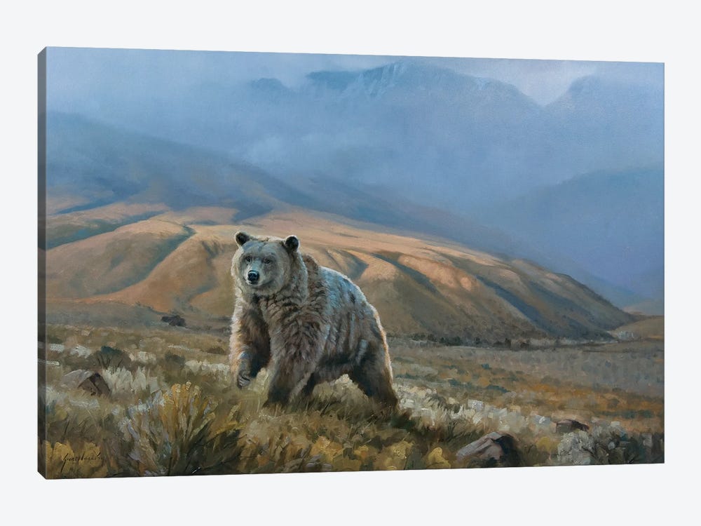 Silvertip Grizzly by Grant Hacking 1-piece Canvas Print