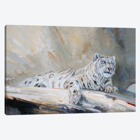 Snow Leopard Canvas Print #GHC94} by Grant Hacking Canvas Print