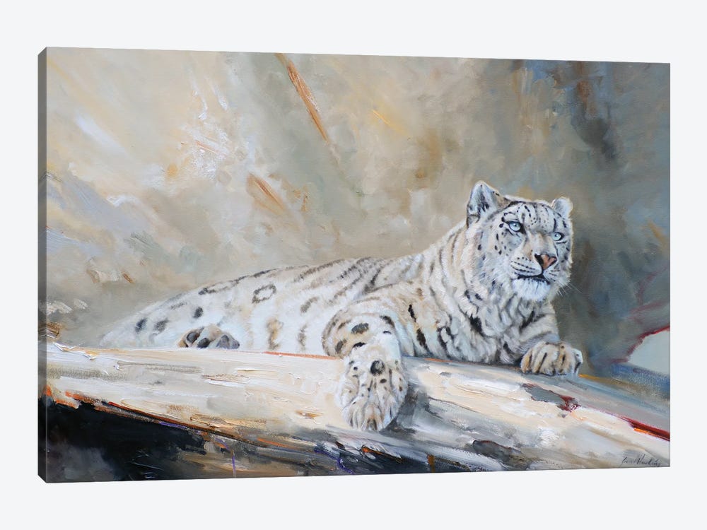 Snow Leopard by Grant Hacking 1-piece Canvas Art Print