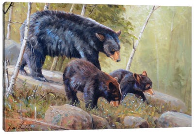 Summer Time Canvas Art Print - Grizzly Bear Art