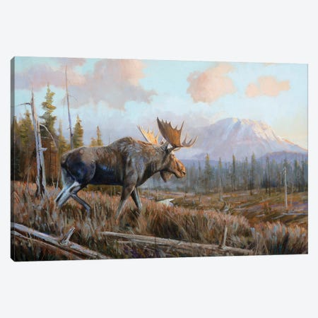 Sunlit Antlers Canvas Print #GHC99} by Grant Hacking Canvas Art