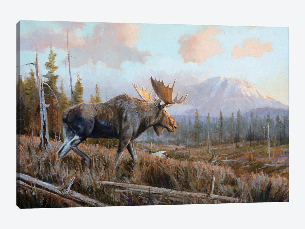 Sunlit Antlers by Grant Hacking 1-piece Canvas Artwork