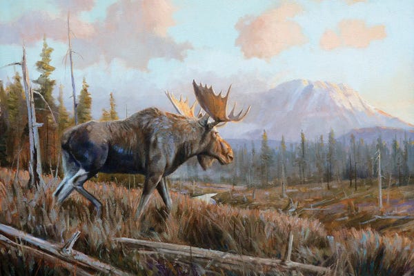 Grant Hacking: Sunlit Antlers by Grant Hacking