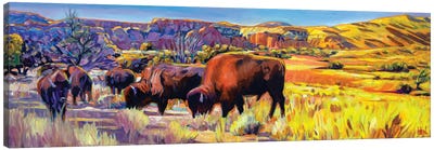 Dusk Herd Canvas Art Print - Greg Heil