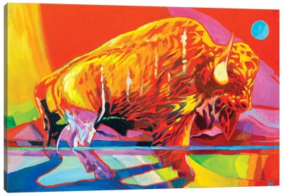 Electric Buffalo Canvas Art Print - Bison & Buffalo Art