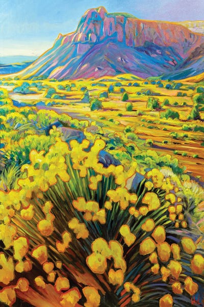 Landscapes In Bloom: Ghost Ranch by Greg Heil