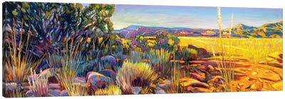 Abquiu Canvas Art Print - New Mexico Art
