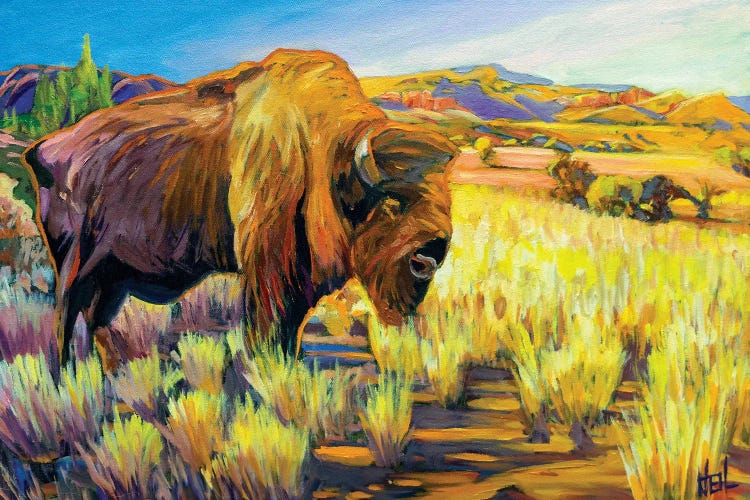 Lone Buffalo