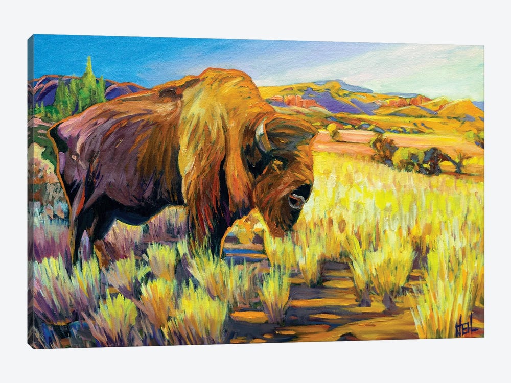Lone Buffalo by Greg Heil 1-piece Canvas Artwork
