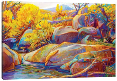 Oak Creek Fall Canvas Art Print - Greg Heil