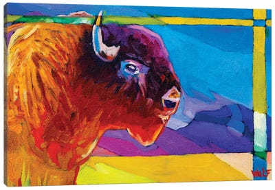 Rain Buffalo Canvas Art Print - Greg Heil