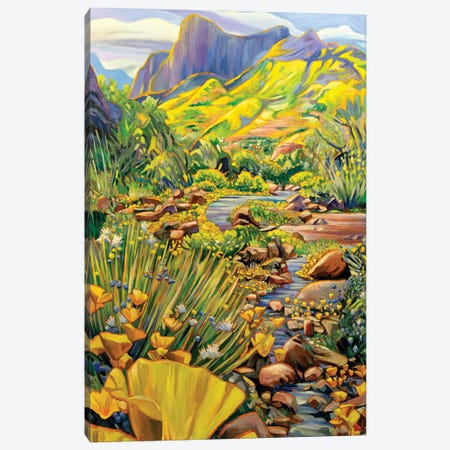 Arizonan Spring Canvas Print #GHE2} by Greg Heil Art Print
