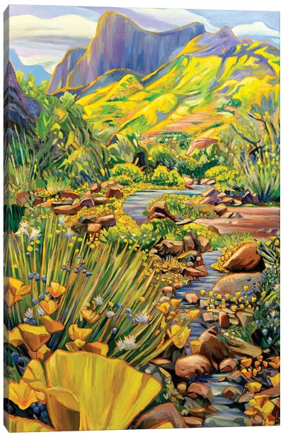 Arizonan Spring Canvas Art Print - Landscapes in Bloom