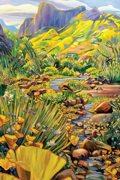 Landscapes In Bloom: Arizonan Spring by Greg Heil