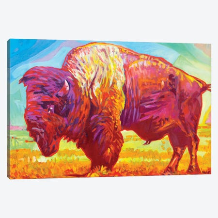 Red Buffalo Canvas Print #GHE31} by Greg Heil Canvas Art