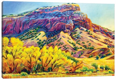 Red Rock Fall Canvas Art Print - Greg Heil
