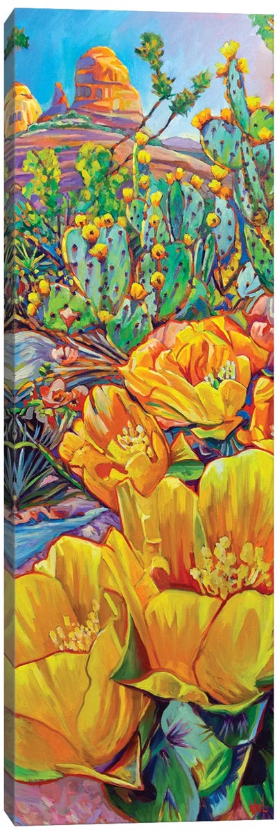 Red Rocks And Cactus Blossoms Canvas Art Print - Rock Art