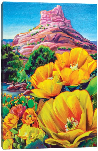 Sedona Blossom Canvas Art Print - Cactus Art