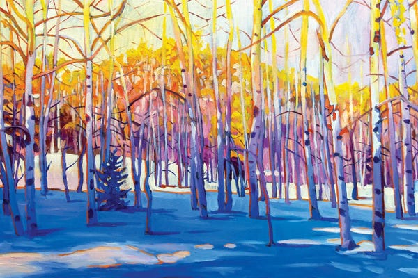 Greg Heil: Snowy Aspens by Greg Heil