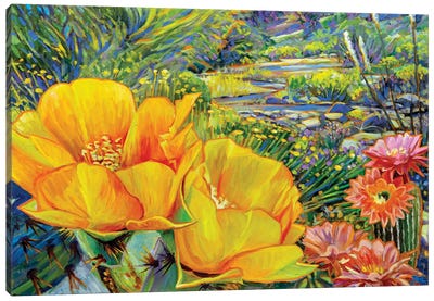 Spring Splendor Canvas Art Print - Greg Heil