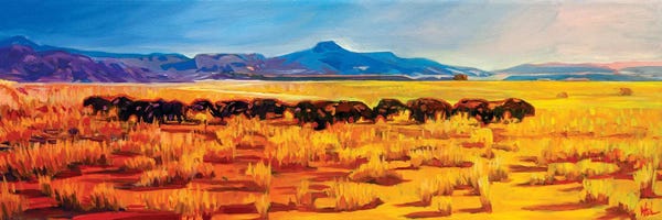 Greg Heil: Where The Buffalo Roamed by Greg Heil