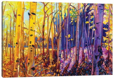 Autumn Aspens Canvas Art Print - Enchanted Forests