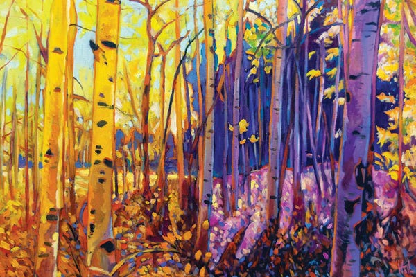Enchanted Forests: Autumn Aspens by Greg Heil