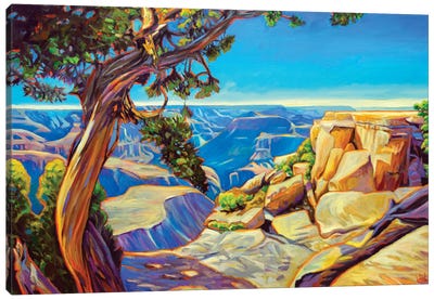 Canyon Through The Pinion Canvas Art Print - Grand Canyon National Park Art