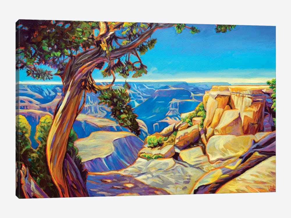 Canyon Through The Pinion by Greg Heil 1-piece Canvas Print