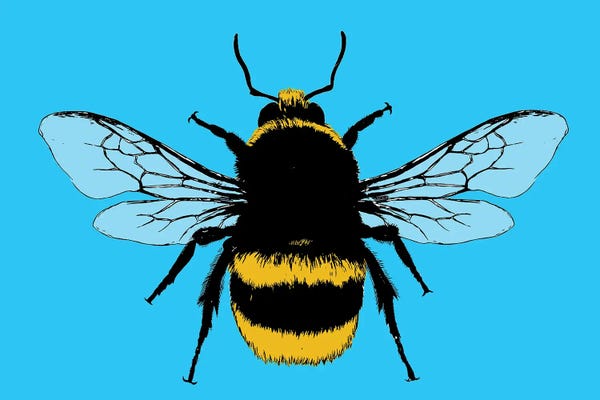 Gary Hogben: Bee Mine - Blue by Gary Hogben