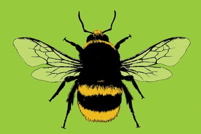 Bee Mine - Lime by Gary Hogben acrylic art print