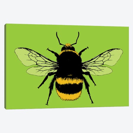 Bee Mine - Lime Canvas Print #GHO105} by Gary Hogben Canvas Art