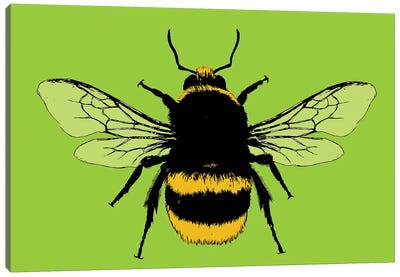 Bee Mine - Lime Canvas Art Print - Gary Hogben
