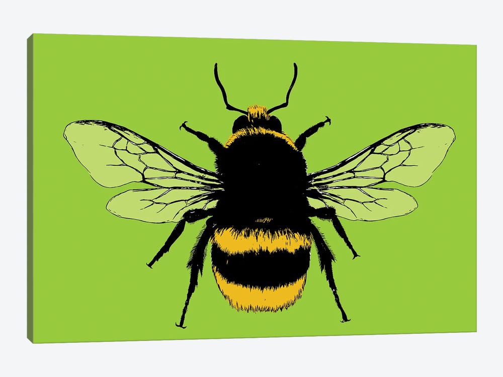 Bee Mine - Lime by Gary Hogben 1-piece Art Print