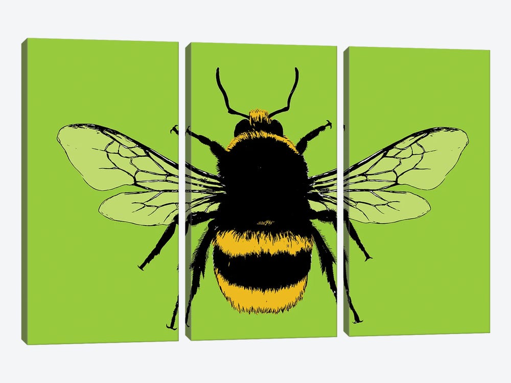 Bee Mine - Lime by Gary Hogben 3-piece Art Print