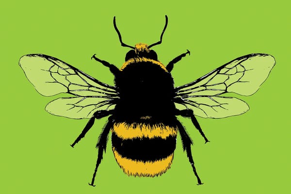 Gary Hogben: Bee Mine - Lime by Gary Hogben