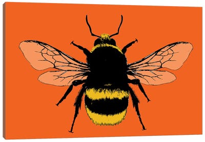 Bee Mine - Orange Canvas Art Print - Gary Hogben