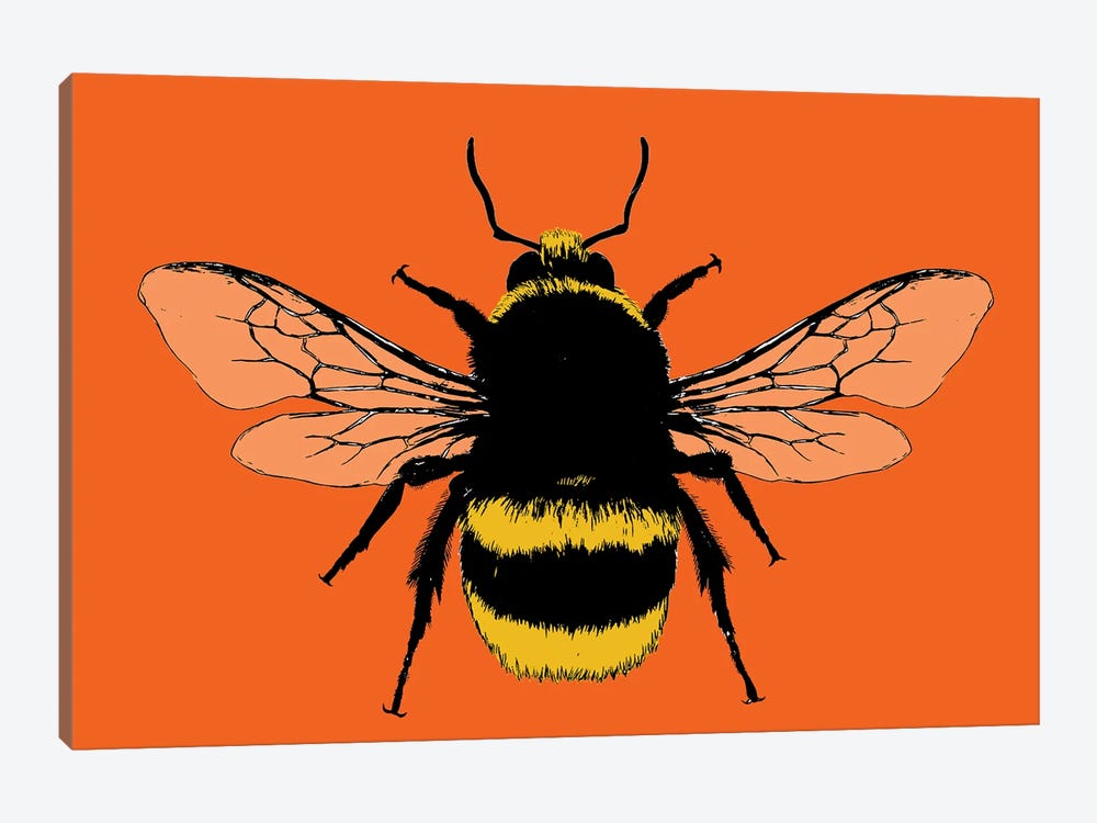 Bee Mine - Orange by Gary Hogben 1-piece Canvas Artwork