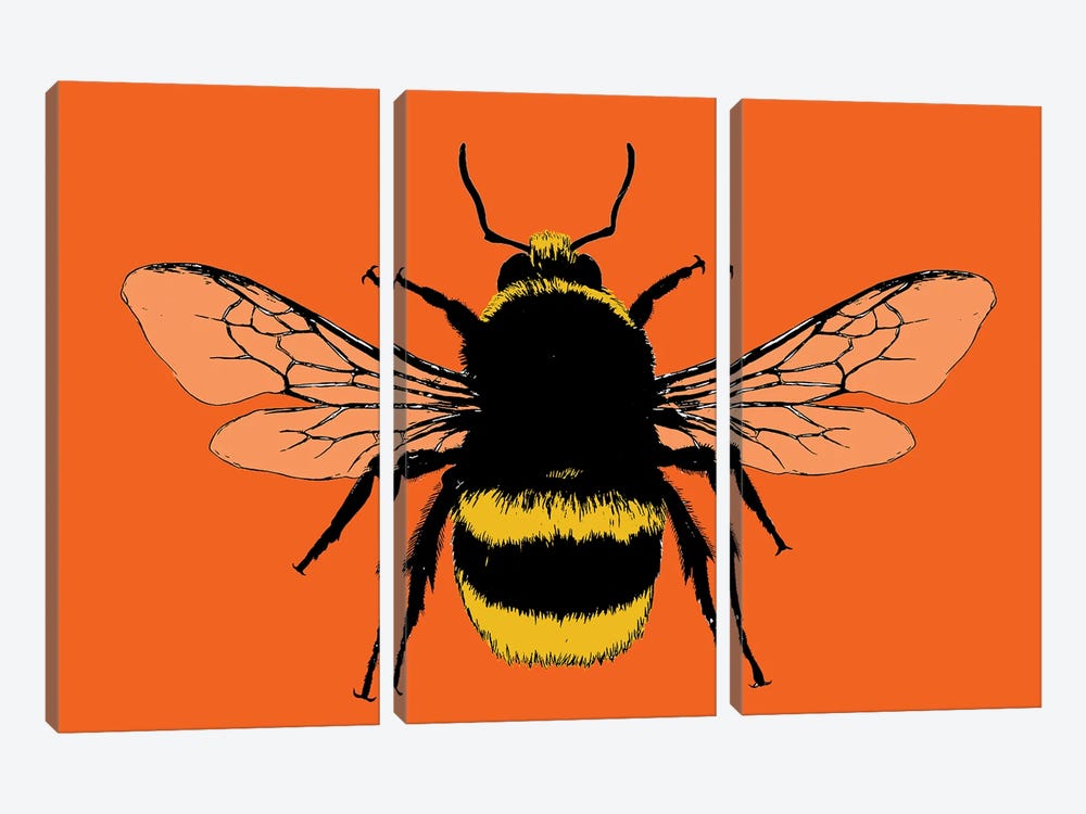 Bee Mine - Orange by Gary Hogben 3-piece Canvas Artwork